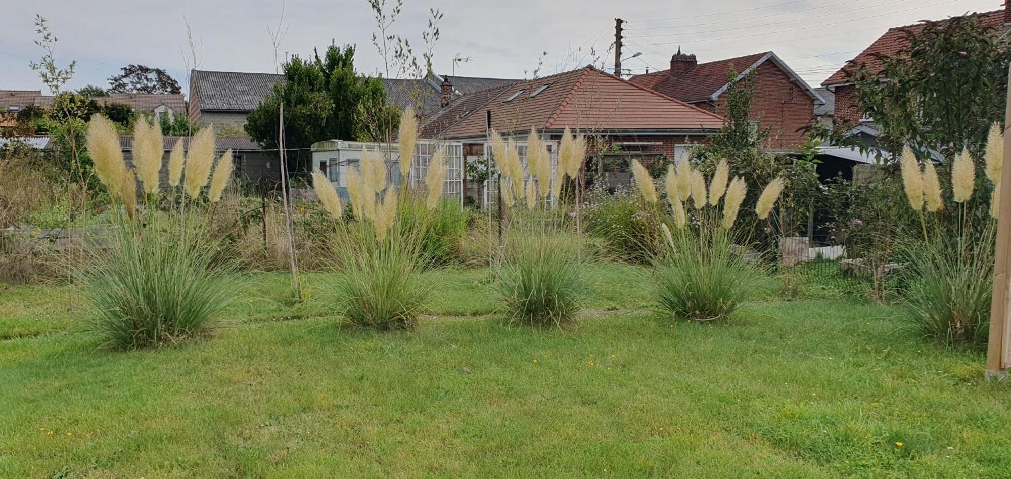 Maison Confortable, Terrasse Et Jardin A Amiens Bagian luar foto